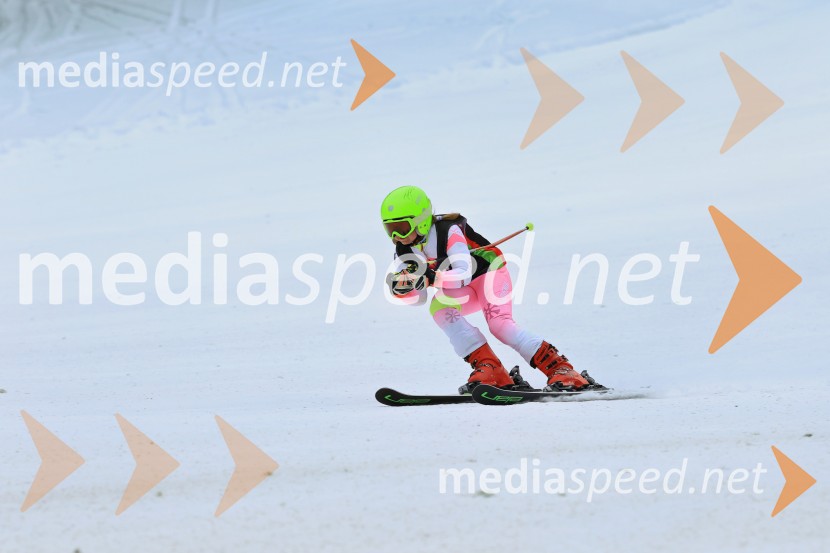 SMUČANJE - SUPER G, U10 in U12, Pokal vzhodne regije, Rogla