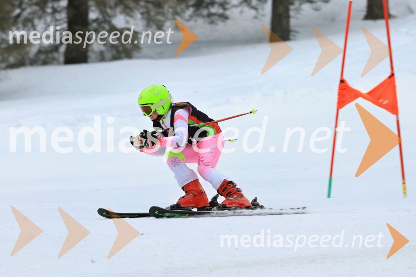 SMUČANJE - SUPER G, U10 in U12, Pokal vzhodne regije, Rogla