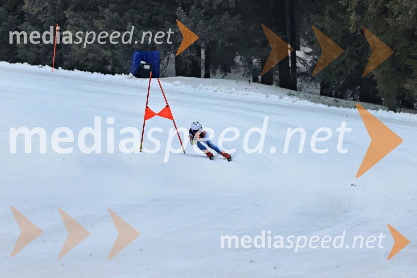 SMUČANJE - SUPER G, U10 in U12, Pokal vzhodne regije, Rogla