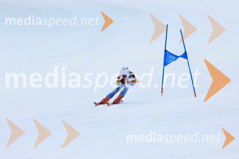 SMUČANJE - SUPER G, U10 in U12, Pokal vzhodne regije, Rogla