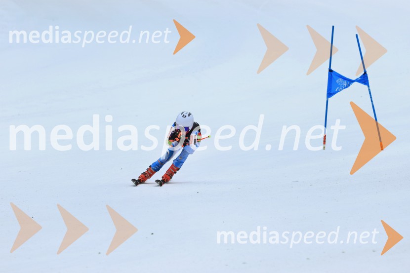 SMUČANJE - SUPER G, U10 in U12, Pokal vzhodne regije, Rogla