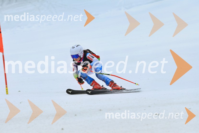 SMUČANJE - SUPER G, U10 in U12, Pokal vzhodne regije, Rogla