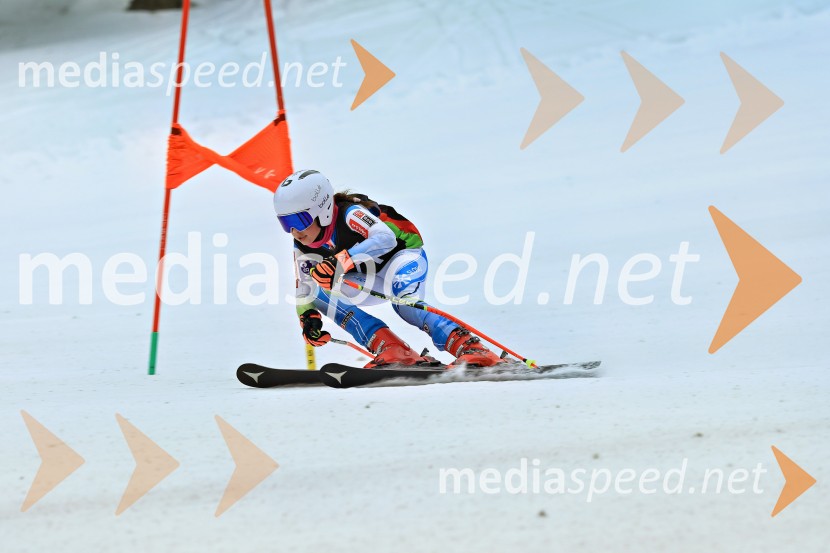 SMUČANJE - SUPER G, U10 in U12, Pokal vzhodne regije, Rogla