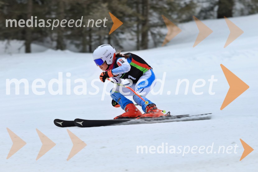 SMUČANJE - SUPER G, U10 in U12, Pokal vzhodne regije, Rogla