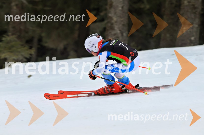 SMUČANJE - SUPER G, U10 in U12, Pokal vzhodne regije, Rogla