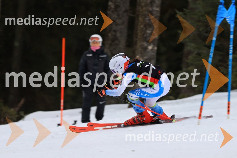 SMUČANJE - SUPER G, U10 in U12, Pokal vzhodne regije, Rogla
