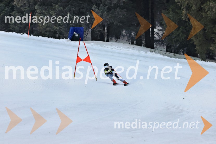 SMUČANJE - SUPER G, U10 in U12, Pokal vzhodne regije, Rogla