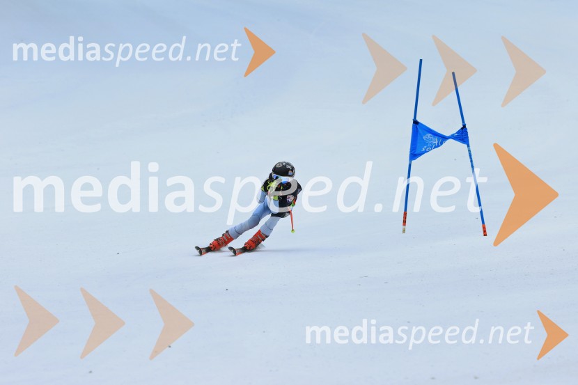 SMUČANJE - SUPER G, U10 in U12, Pokal vzhodne regije, Rogla