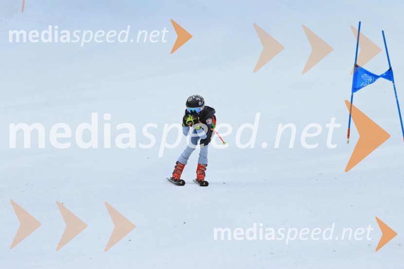 SMUČANJE - SUPER G, U10 in U12, Pokal vzhodne regije, Rogla