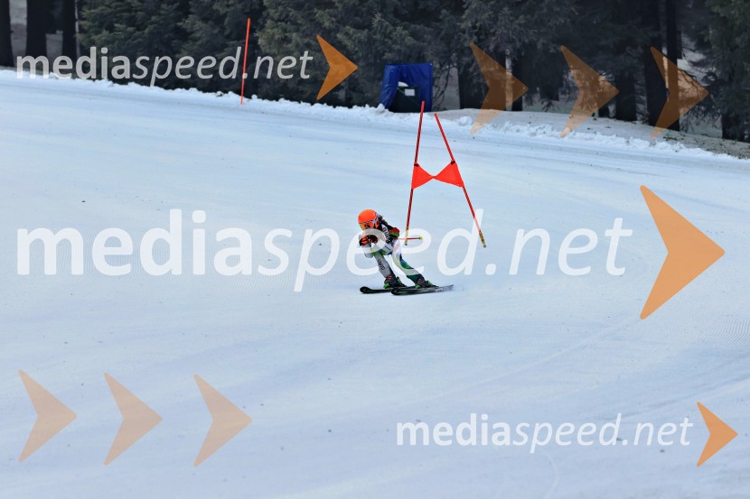 SMUČANJE - SUPER G, U10 in U12, Pokal vzhodne regije, Rogla