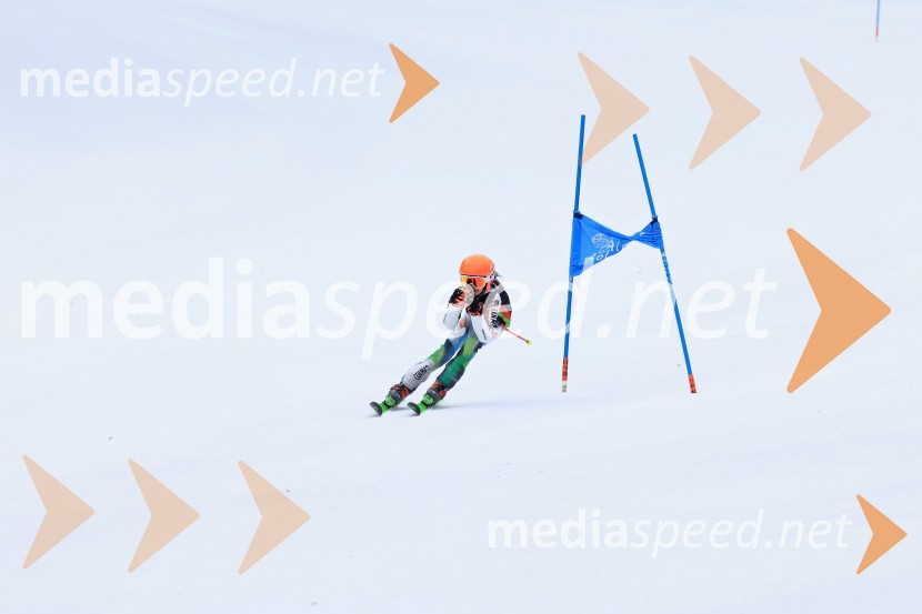 SMUČANJE - SUPER G, U10 in U12, Pokal vzhodne regije, Rogla