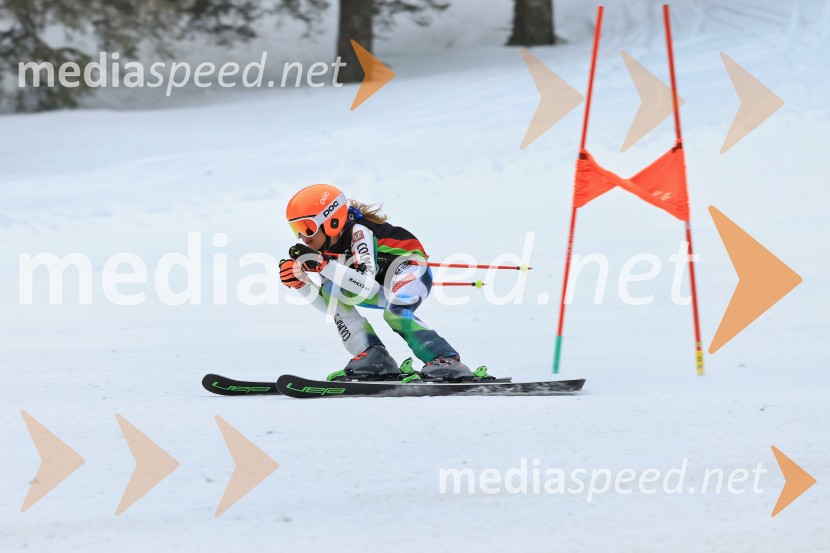 SMUČANJE - SUPER G, U10 in U12, Pokal vzhodne regije, Rogla