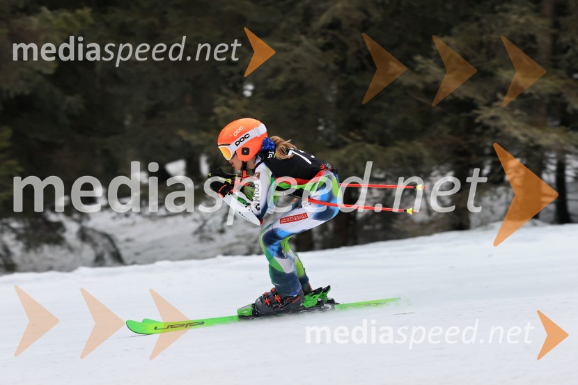 SMUČANJE - SUPER G, U10 in U12, Pokal vzhodne regije, Rogla