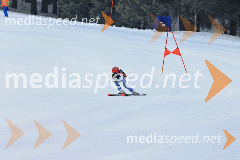 SMUČANJE - SUPER G, U10 in U12, Pokal vzhodne regije, Rogla