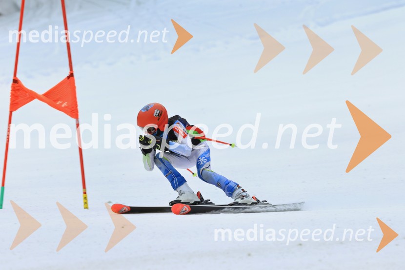 SMUČANJE - SUPER G, U10 in U12, Pokal vzhodne regije, Rogla