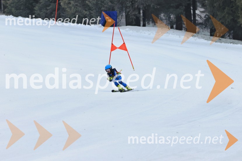 SMUČANJE - SUPER G, U10 in U12, Pokal vzhodne regije, Rogla