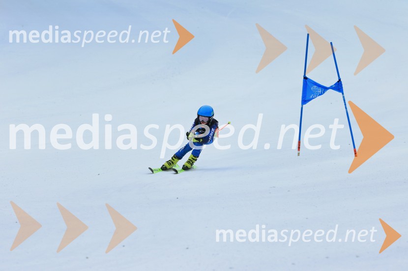 SMUČANJE - SUPER G, U10 in U12, Pokal vzhodne regije, Rogla