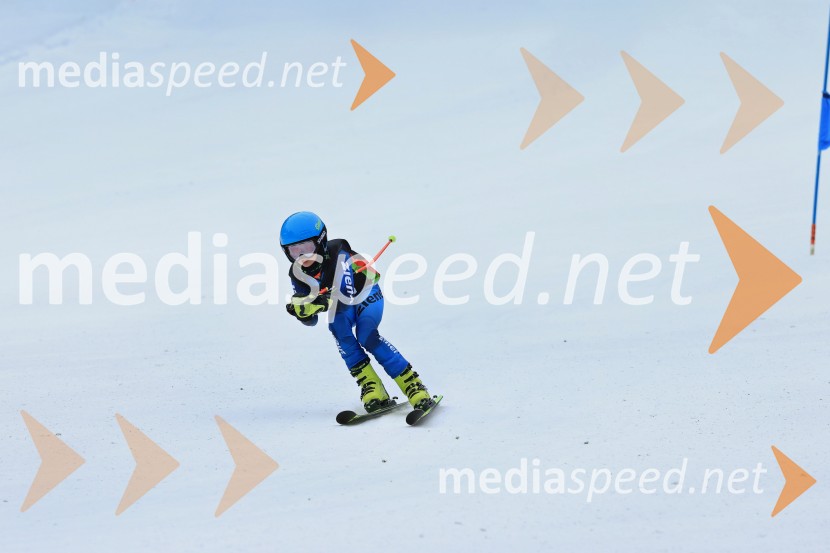 SMUČANJE - SUPER G, U10 in U12, Pokal vzhodne regije, Rogla