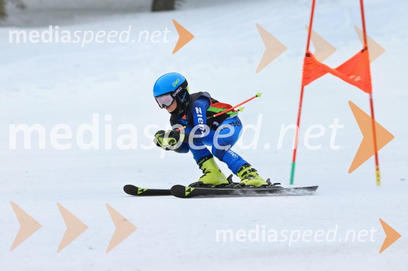 SMUČANJE - SUPER G, U10 in U12, Pokal vzhodne regije, Rogla