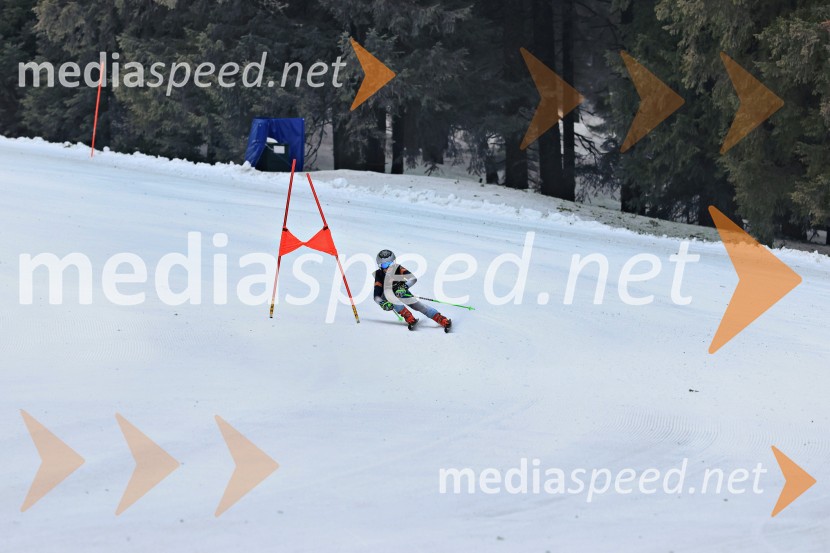 SMUČANJE - SUPER G, U10 in U12, Pokal vzhodne regije, Rogla