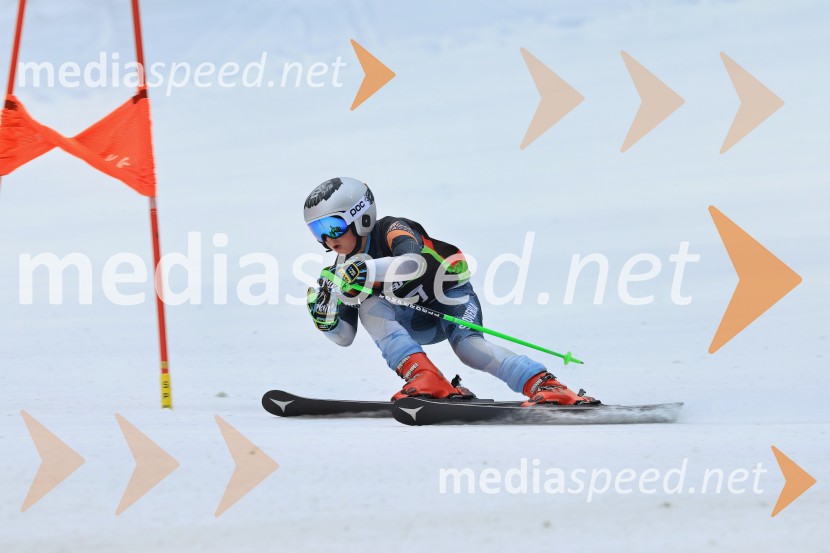 SMUČANJE - SUPER G, U10 in U12, Pokal vzhodne regije, Rogla