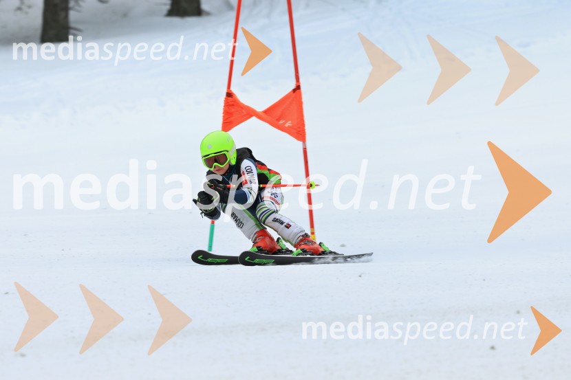 SMUČANJE - SUPER G, U10 in U12, Pokal vzhodne regije, Rogla