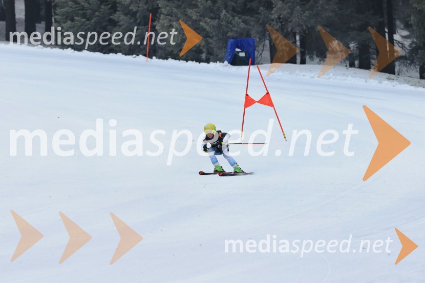 SMUČANJE - SUPER G, U10 in U12, Pokal vzhodne regije, Rogla