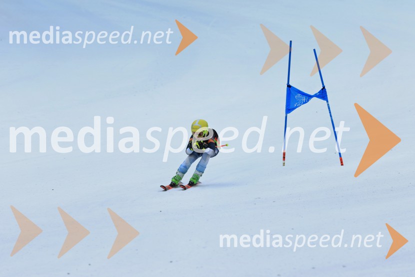 SMUČANJE - SUPER G, U10 in U12, Pokal vzhodne regije, Rogla