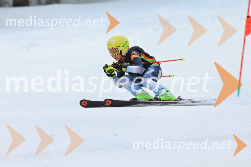SMUČANJE - SUPER G, U10 in U12, Pokal vzhodne regije, Rogla