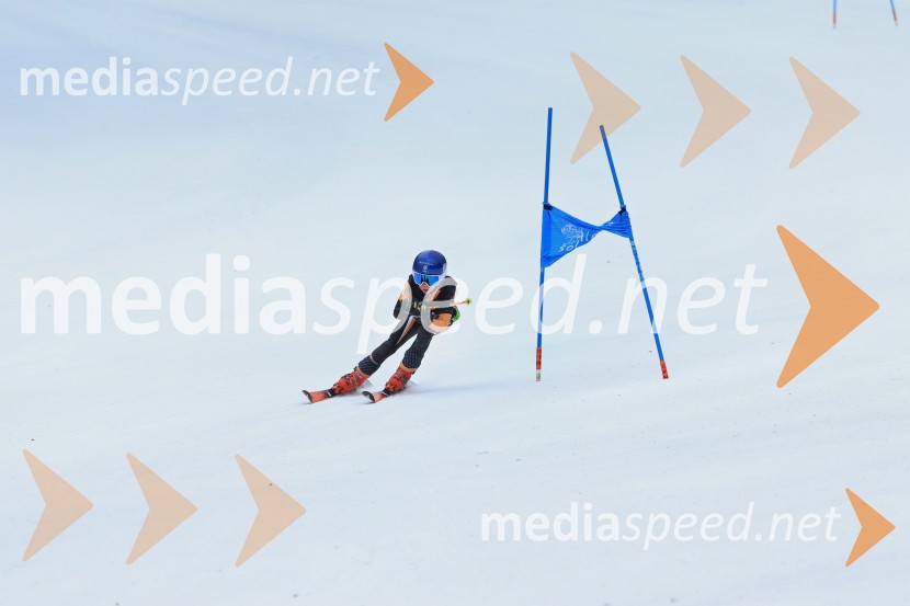 SMUČANJE - SUPER G, U10 in U12, Pokal vzhodne regije, Rogla