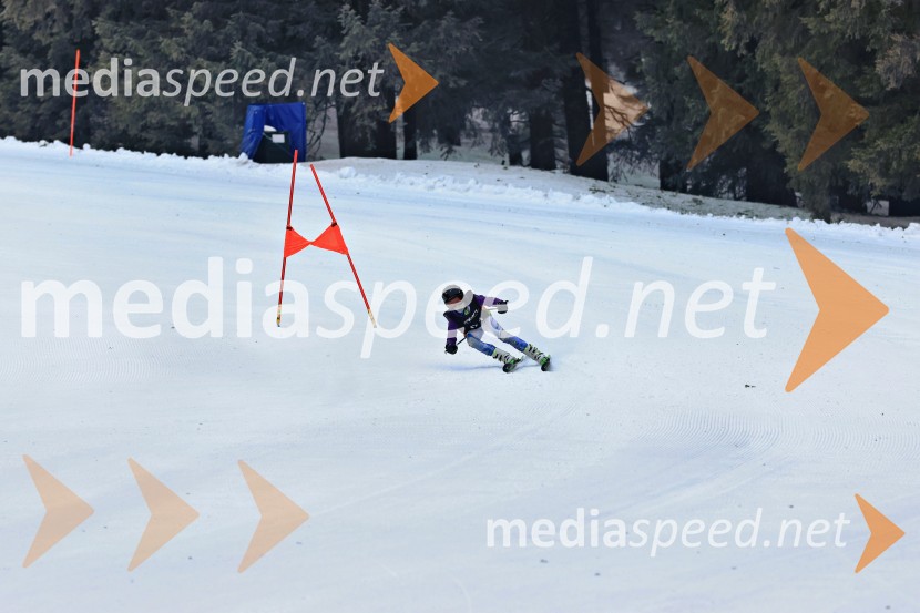SMUČANJE - SUPER G, U10 in U12, Pokal vzhodne regije, Rogla