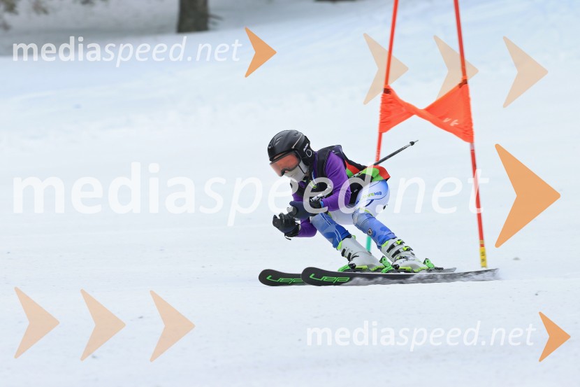 SMUČANJE - SUPER G, U10 in U12, Pokal vzhodne regije, Rogla