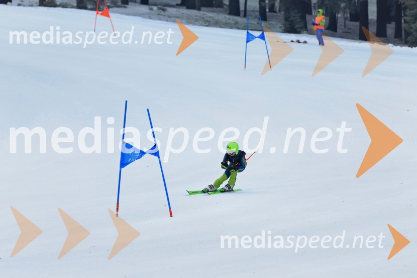 SMUČANJE - SUPER G, U10 in U12, Pokal vzhodne regije, Rogla