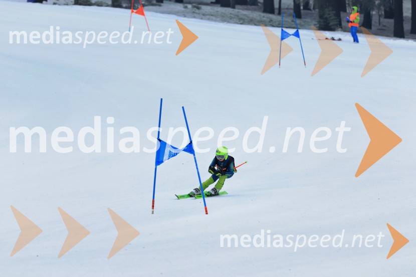 SMUČANJE - SUPER G, U10 in U12, Pokal vzhodne regije, Rogla
