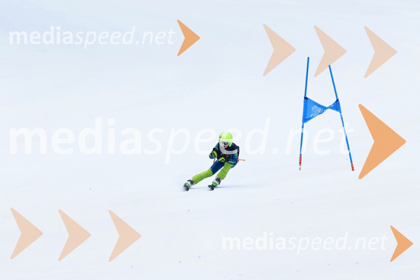 SMUČANJE - SUPER G, U10 in U12, Pokal vzhodne regije, Rogla