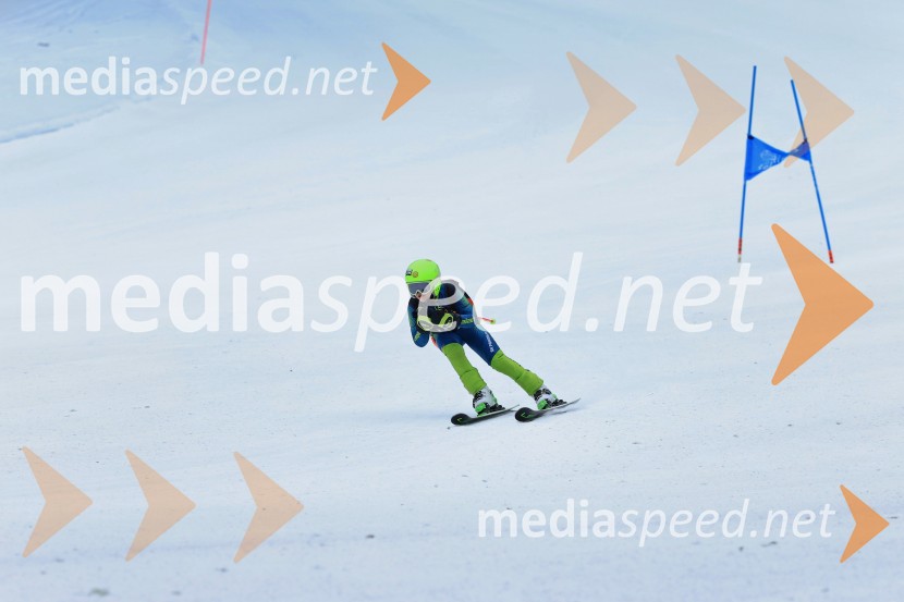 SMUČANJE - SUPER G, U10 in U12, Pokal vzhodne regije, Rogla