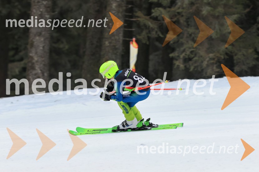 SMUČANJE - SUPER G, U10 in U12, Pokal vzhodne regije, Rogla