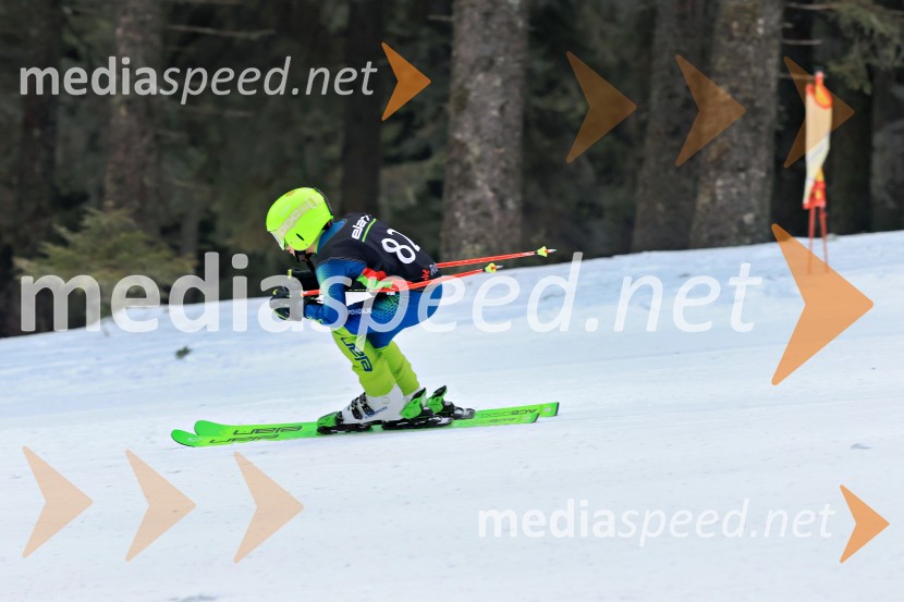 SMUČANJE - SUPER G, U10 in U12, Pokal vzhodne regije, Rogla