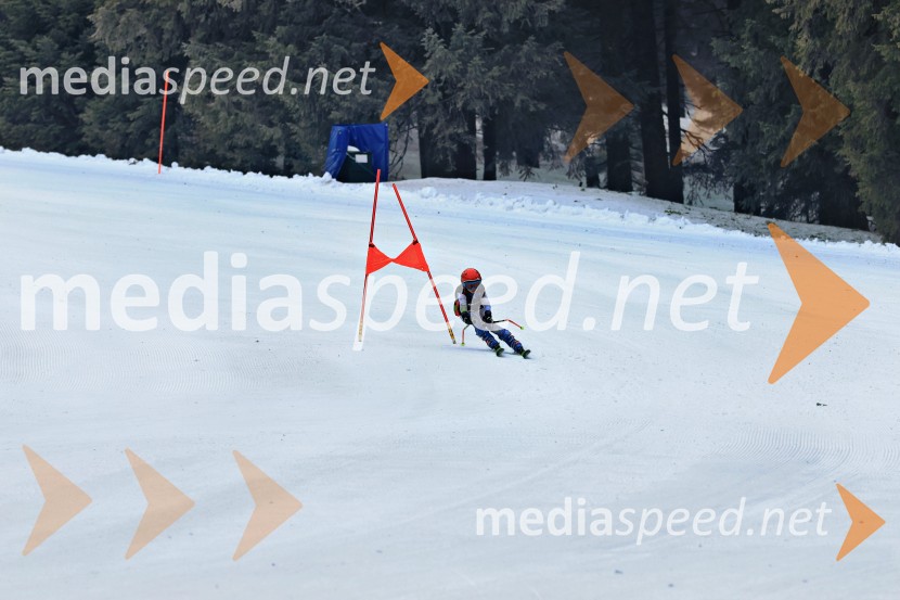 SMUČANJE - SUPER G, U10 in U12, Pokal vzhodne regije, Rogla