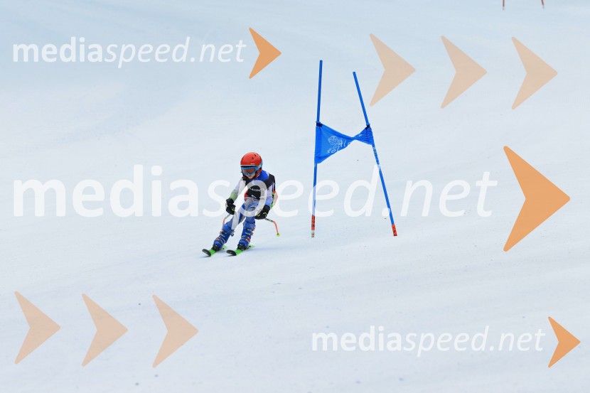 SMUČANJE - SUPER G, U10 in U12, Pokal vzhodne regije, Rogla