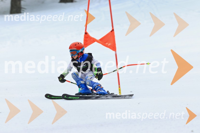 SMUČANJE - SUPER G, U10 in U12, Pokal vzhodne regije, Rogla