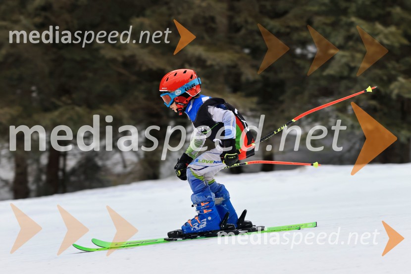 SMUČANJE - SUPER G, U10 in U12, Pokal vzhodne regije, Rogla