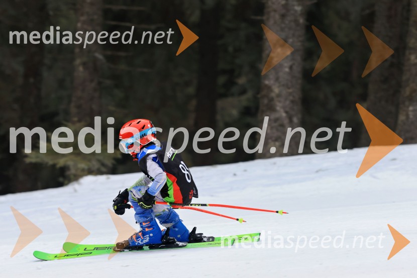 SMUČANJE - SUPER G, U10 in U12, Pokal vzhodne regije, Rogla