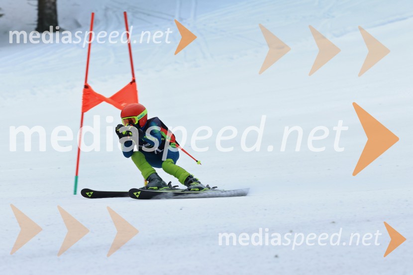 SMUČANJE - SUPER G, U10 in U12, Pokal vzhodne regije, Rogla