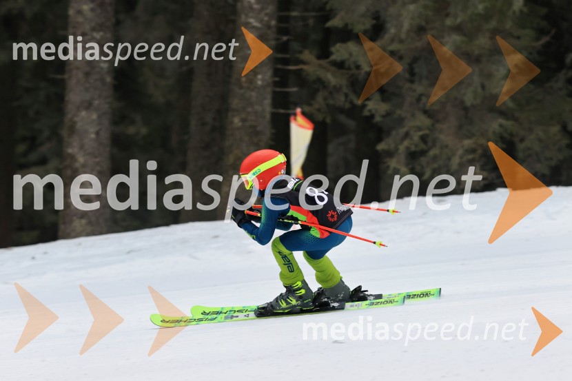 SMUČANJE - SUPER G, U10 in U12, Pokal vzhodne regije, Rogla