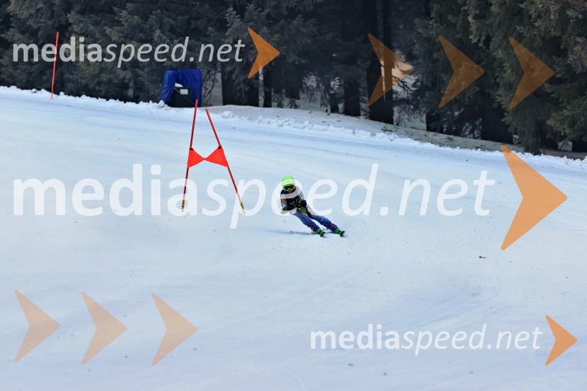 SMUČANJE - SUPER G, U10 in U12, Pokal vzhodne regije, Rogla