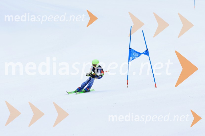 SMUČANJE - SUPER G, U10 in U12, Pokal vzhodne regije, Rogla