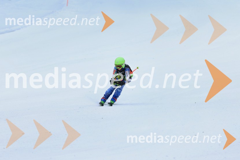 SMUČANJE - SUPER G, U10 in U12, Pokal vzhodne regije, Rogla