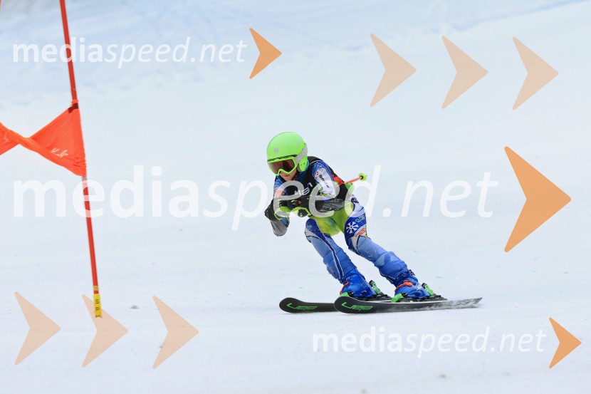 SMUČANJE - SUPER G, U10 in U12, Pokal vzhodne regije, Rogla