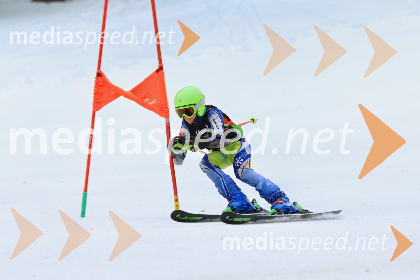 SMUČANJE - SUPER G, U10 in U12, Pokal vzhodne regije, Rogla